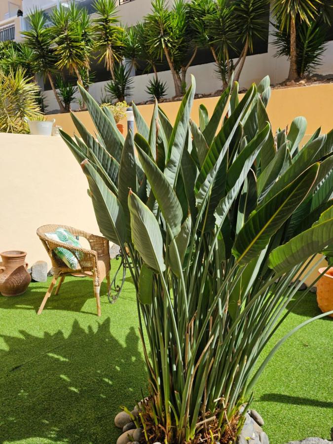 New Holiday Home Beautiful Sea View With Aircon, Costa Adeje Costa Adeje  Bagian luar foto